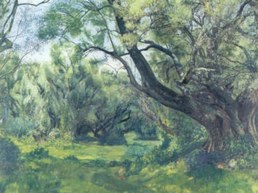 Francisco Goitia, grupo de olivares, 1939,  óleo