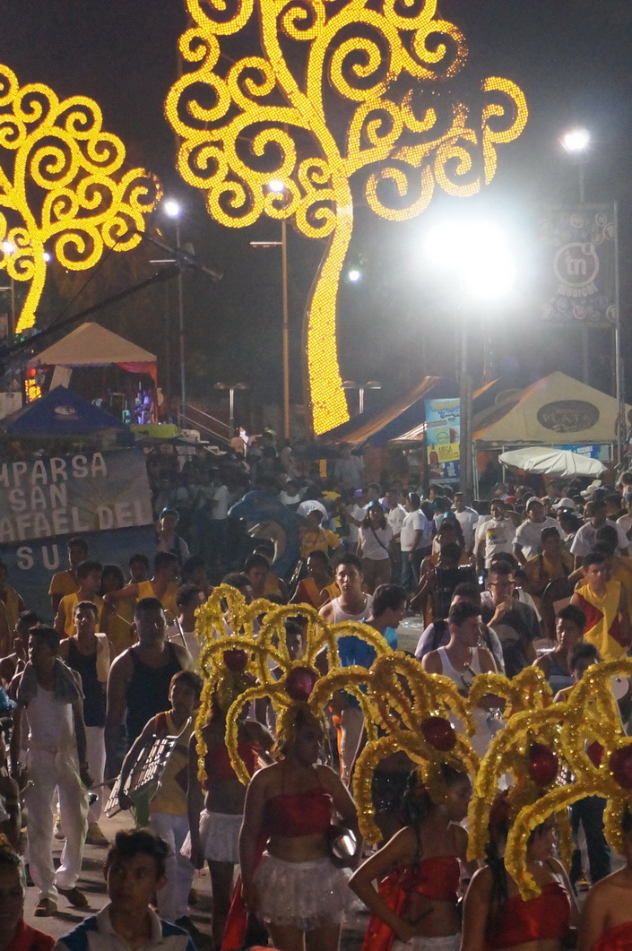 Carnaval Managua 2014 499