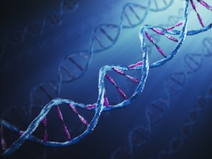 Sequenza di DNA