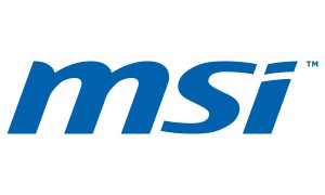 logo-msi_web
